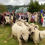 Arkadia Pod Diablakiem Casa vacanze Zawoja
