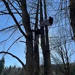 Arkadia Pod Diablakiem Casa vacanze *