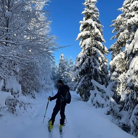 Arkadia Pod Diablakiem Tatil Evi *