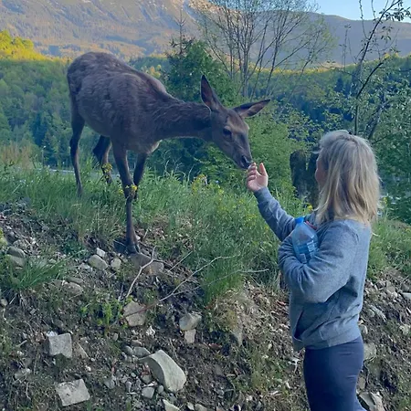 Arkadia Pod Diablakiem Zawoja