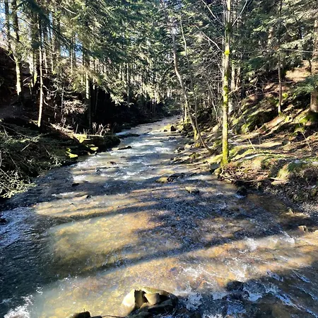 Arkadia Pod Diablakiem Tatil Evi *