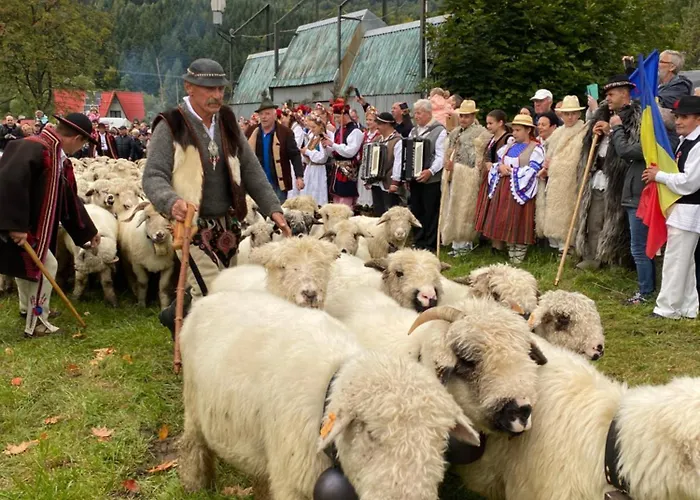 Arkadia Pod Diablakiem בית נופש זאבוייה