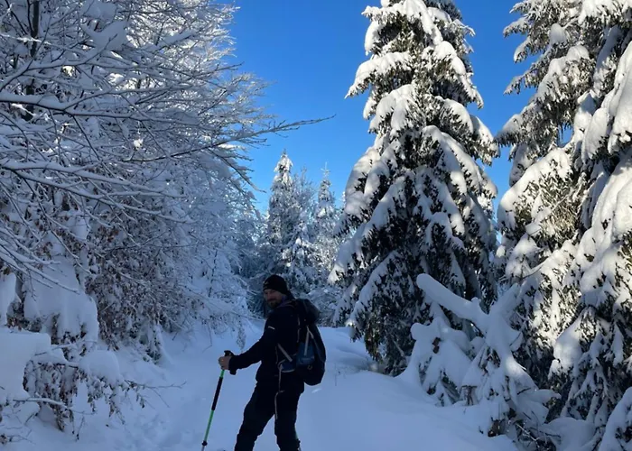 Arkadia Pod Diablakiem בית נופש *